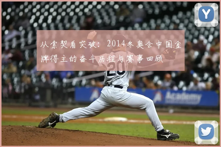 从索契看突破：2014冬奥会中国金牌得主的奋斗历程与赛事回顾