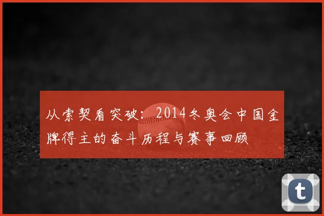 从索契看突破：2014冬奥会中国金牌得主的奋斗历程与赛事回顾