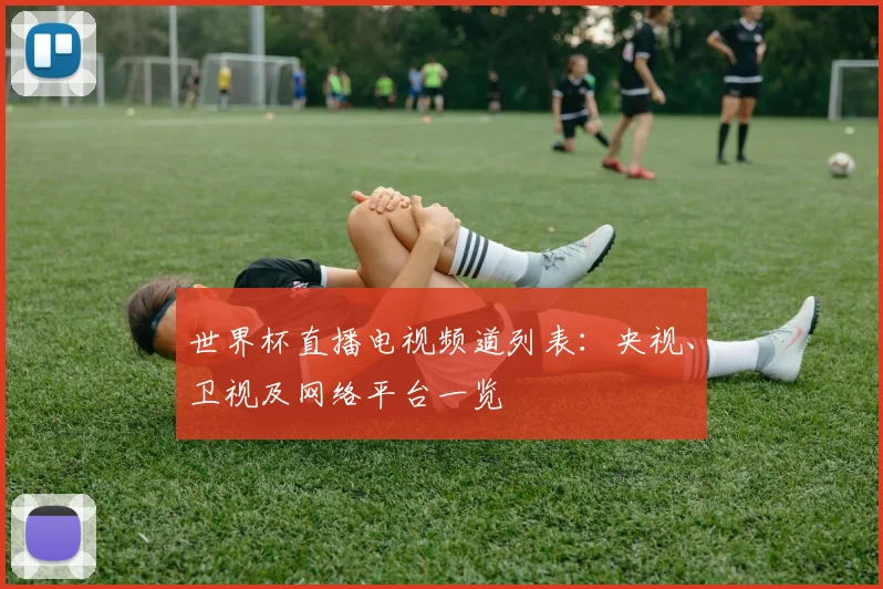 世界杯直播电视频道列表:央视、卫视及网络平台一览