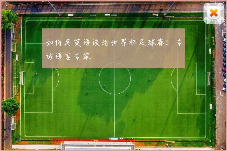 如何用英语谈论世界杯足球赛:专访语言专家