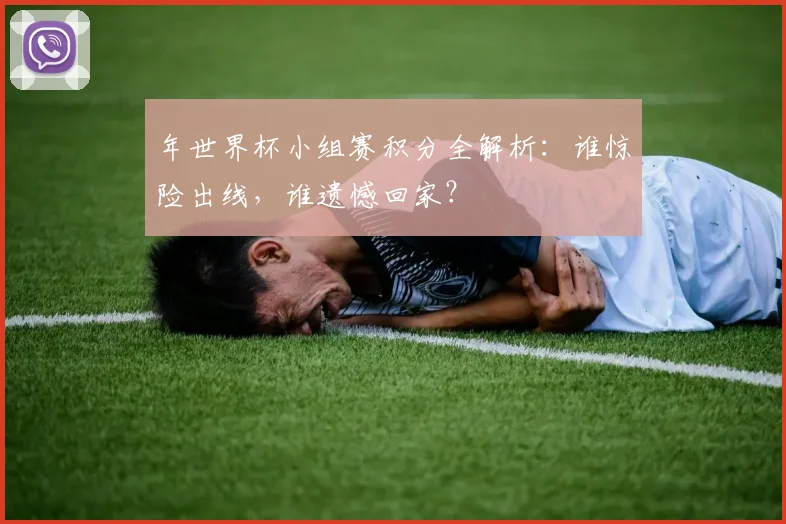 年世界杯小组赛积分全解析:谁惊险出线,谁遗憾回家?