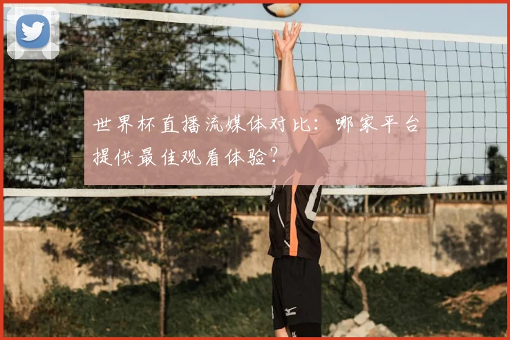 世界杯直播流媒体对比：哪家平台提供最佳观看体验？