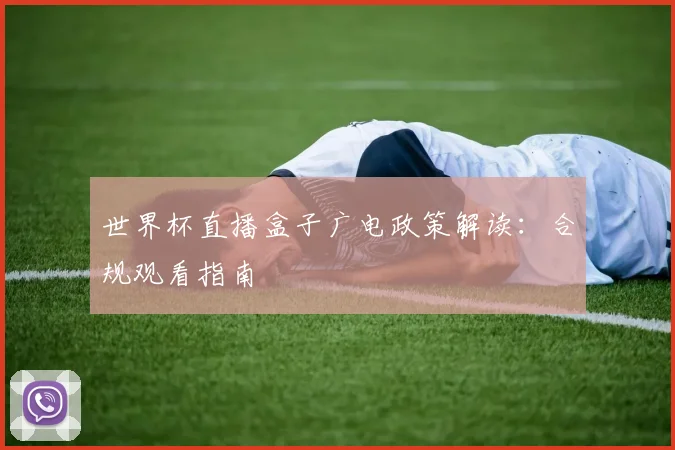 世界杯直播盒子广电政策解读：合规观看指南