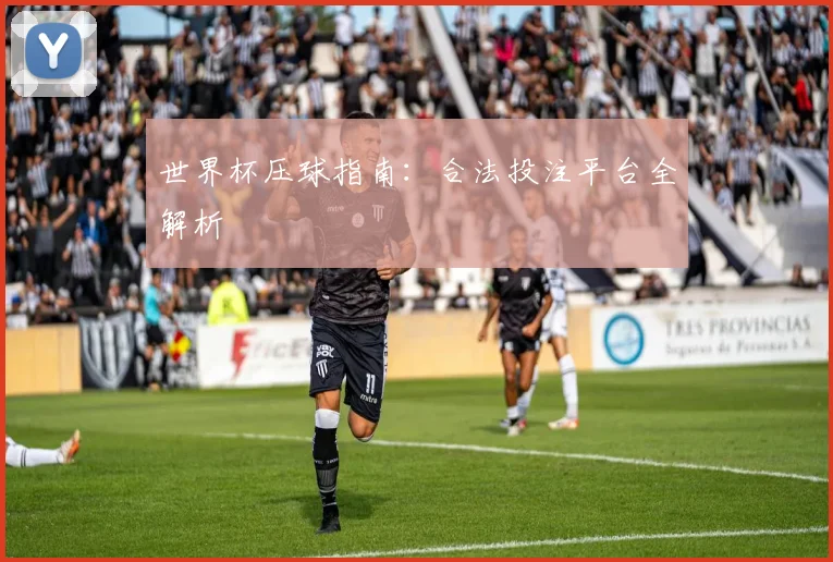 世界杯压球指南:合法投注平台全解析