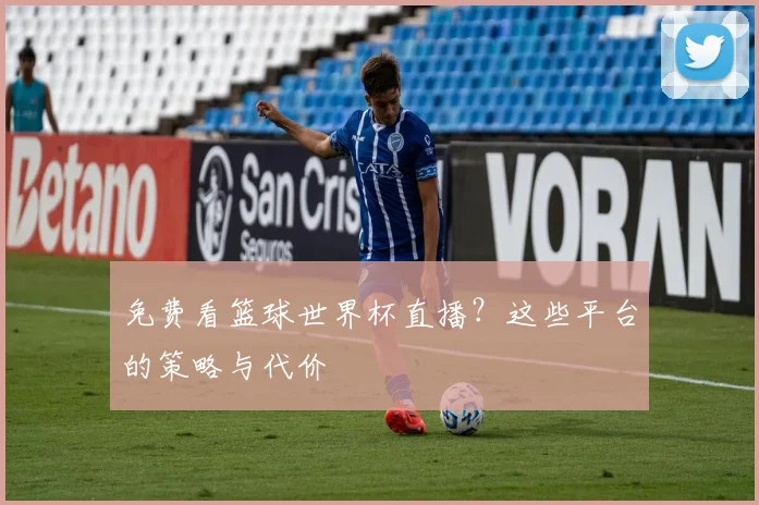免费看篮球世界杯直播？这些平台的策略与代价